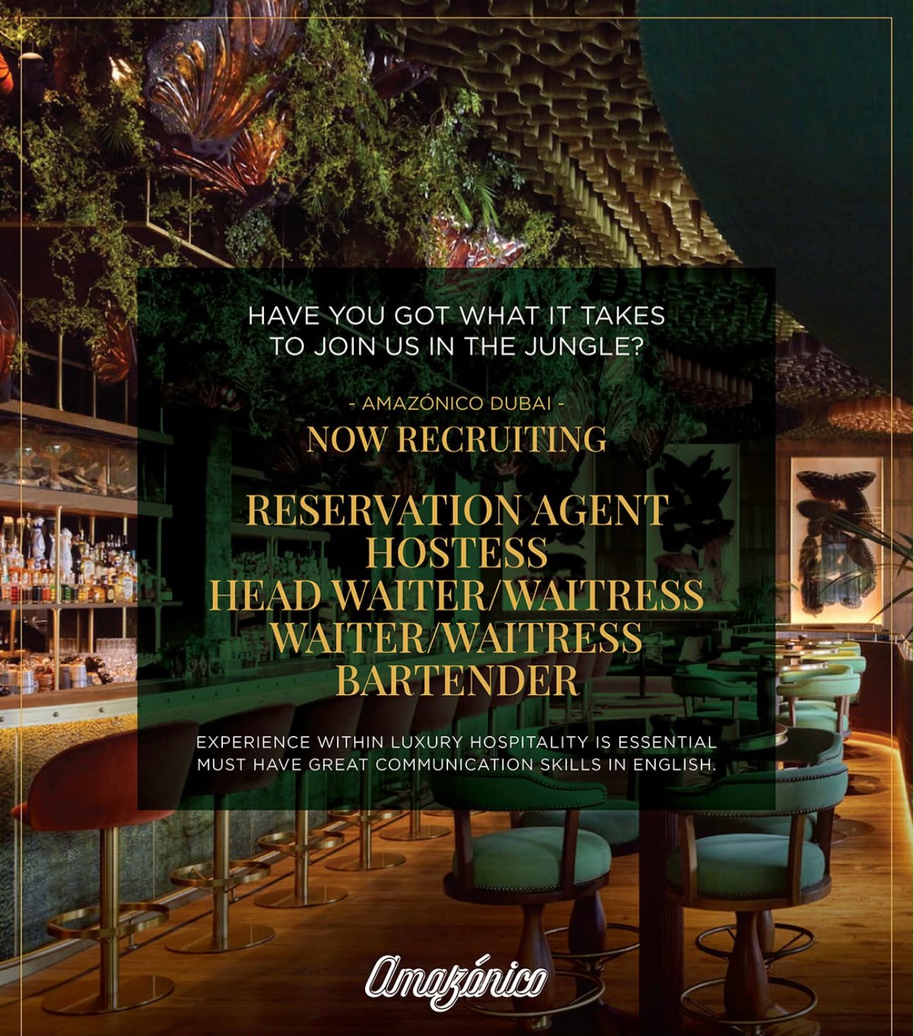 Amazonico Bar and Restaurant Is Hiring - dubaijobsae
